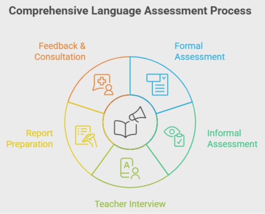 Comprehensive Language Assessment Process Comprehensive Language Assessment Process